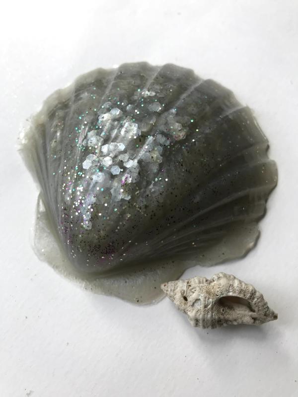 Silver Seashell 